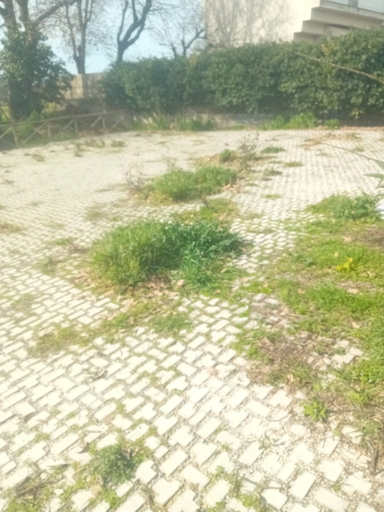 Valcanneto, interrogazione di Fratelli d’Italia sul parco di via Corelli: “Un milione di euro PNRR e già nel degrado”