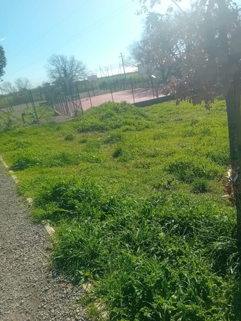 Valcanneto, interrogazione di Fratelli d’Italia sul parco di via Corelli: “Un milione di euro PNRR e già nel degrado”