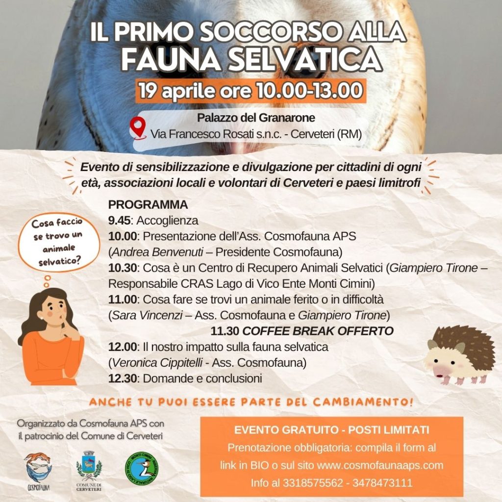 Cerveteri, una mattinata per capire come aiutare un animale in difficoltà. Un incontro gratuito al Granarone il 19 aprile