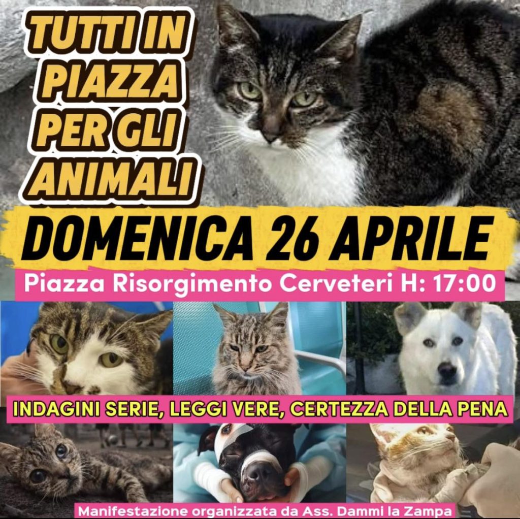 Cerveteri ricorda “Signorina”: sit-in per dire basta alla violenza sugli animali