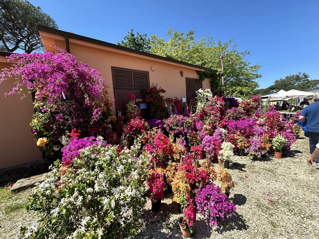 Cerveteri, i bambini dell’IC Marina di Cerveteri in visita a Floracult, nella tenuta delle sorelle Fendi