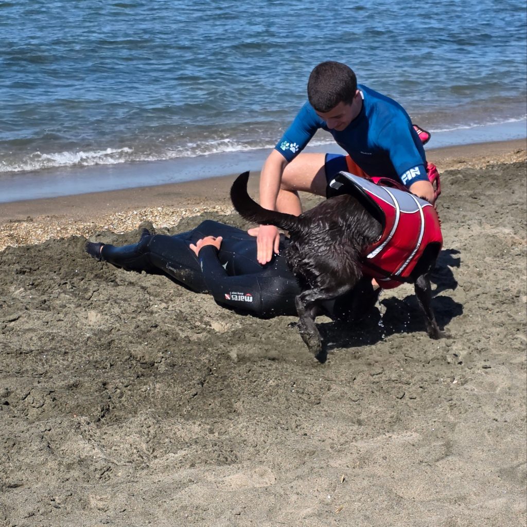 Cani da salvataggio e sicurezza in mare. Lezione speciale per gli alunni di Marina di Cerveteri