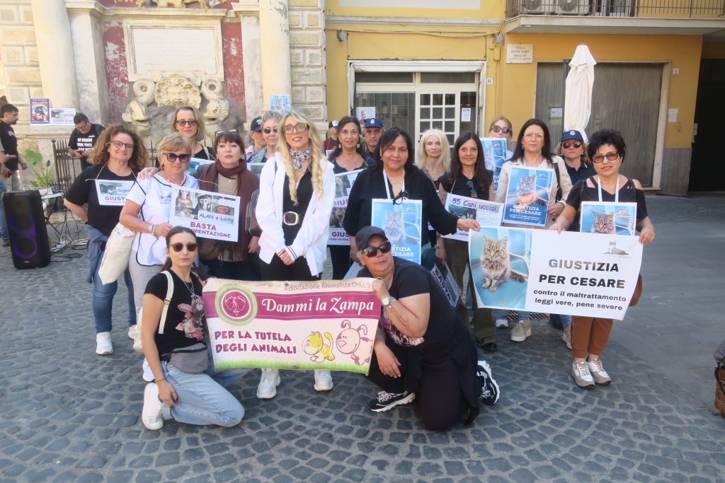 Signorina, la piazza chiede giustizia. Gubetti risponde: “Cerveteri non è questa, chi sa qualcosa parli”