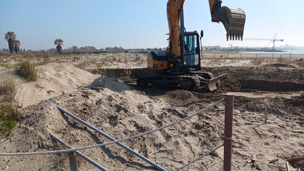 Ladispoli, Torre Flavia parte finalmente il restauro. Protocollo speciale per salvare dune, flora e Fratino