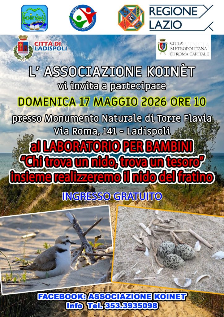 Torre Flavia, laboratorio gratuito per bambini sul nido del fratino