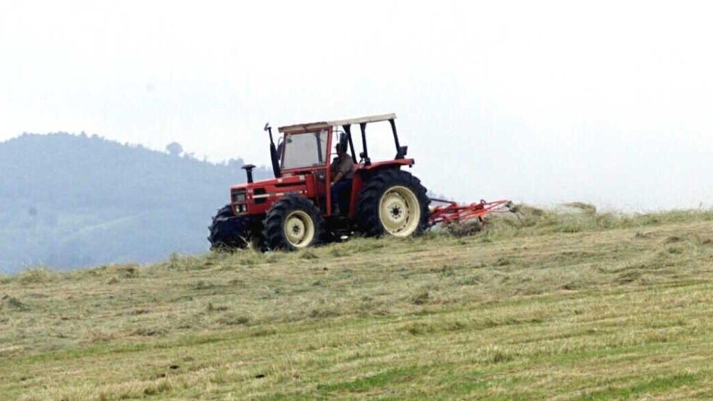 Furti nella notte nelle campagne tra Ladispoli e Palidoro. Rubati un trattore e due furgoncini agricoli