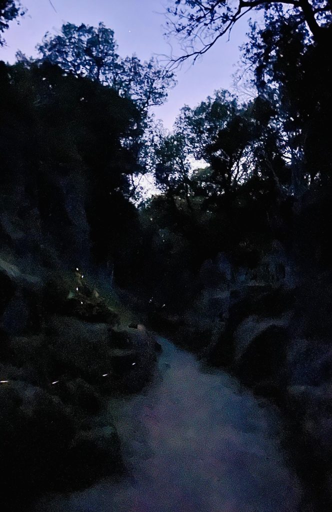 A Cerveteri, sulla Via degli Inferi, si può passare la notte del Solstizio d’Estate in compagnia delle lucciole.