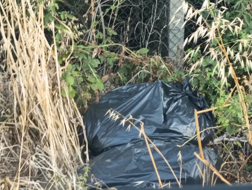 Cerveteri, in Via di Zambra rifiuti e sterpaglie: "Una strada diventata discarica"
