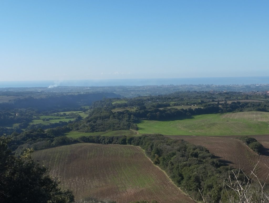 Conferenza “Tra Caere e il mare”. L'archeologo ceretano Simone Grosso racconta Cerveteri oltre le necropoli