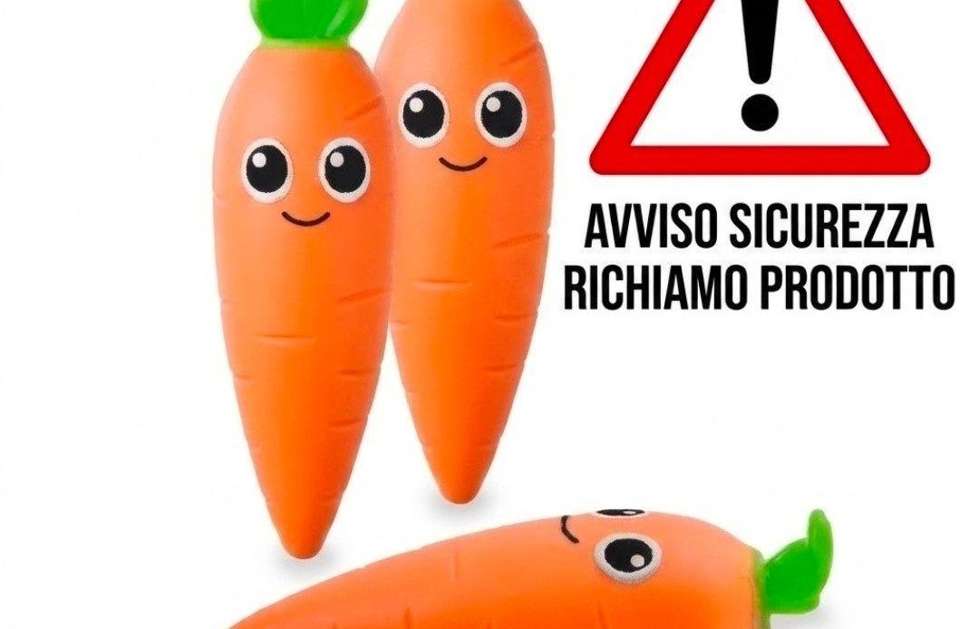 Allerta giocattolo contaminato da amianto: il Comune di Ladispoli avvisa la cittadinanza sul rischio amianto e diffonde i dettagli del richiamo europeo