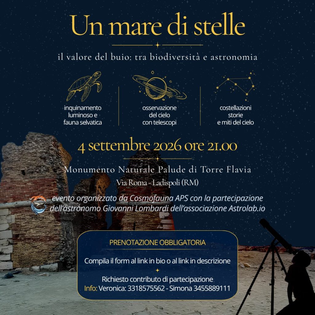 Torre Flavia, una notte tra biodiversità, costellazioni e galassie lontane