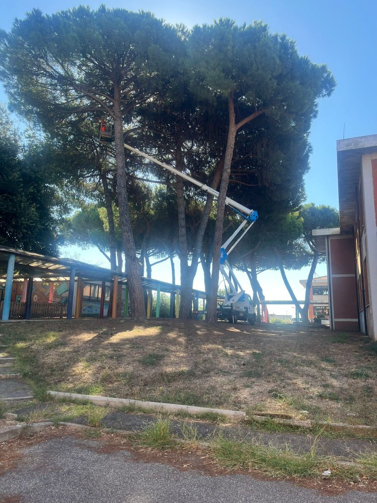 Cerveteri, Multiservizi Caerite al lavoro per l’avvio dell’anno scolastico