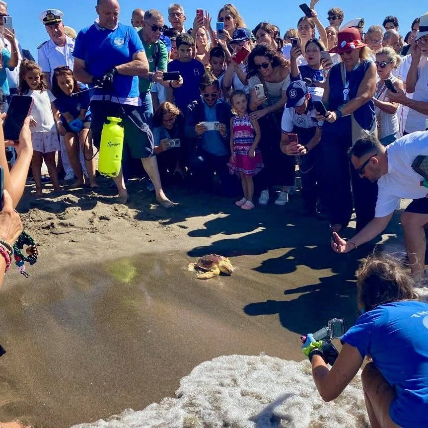 Bentornata in mare, Fortuna: salvata una giovane tartaruga Caretta caretta