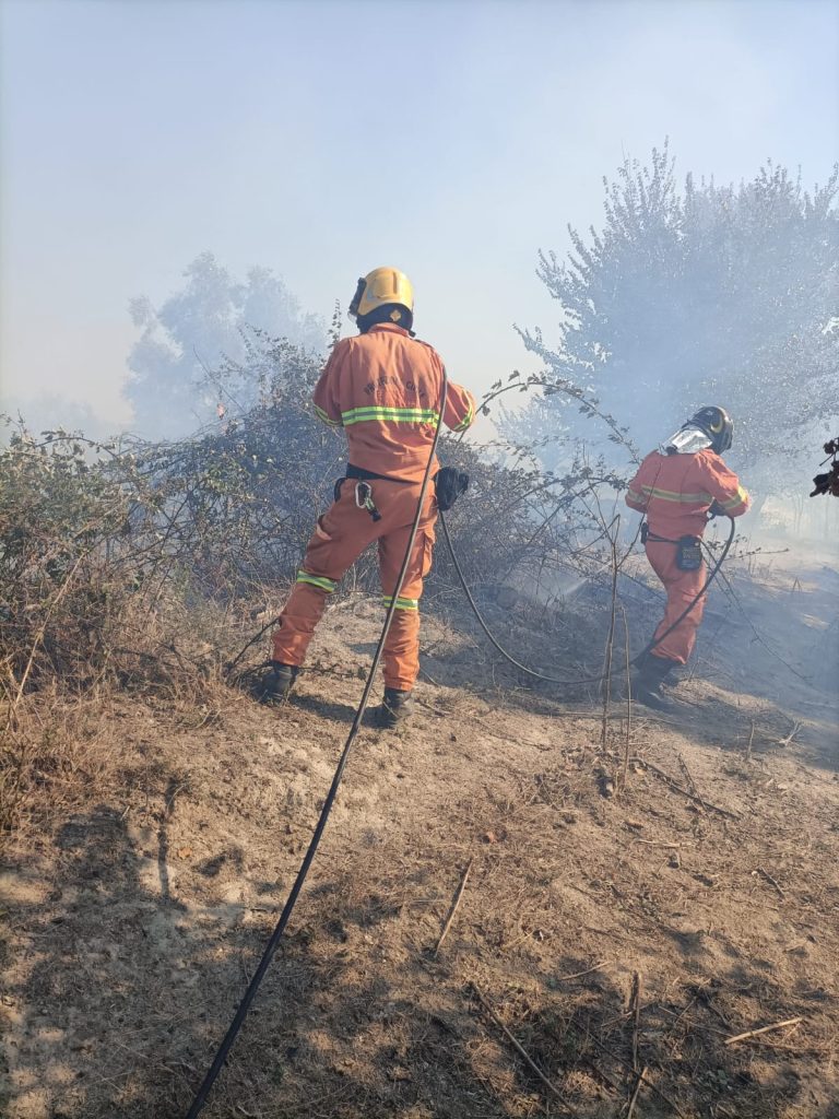 Cesano, vasto incendio minaccia case e campi. I volontari AVAB in azione con due mezzi