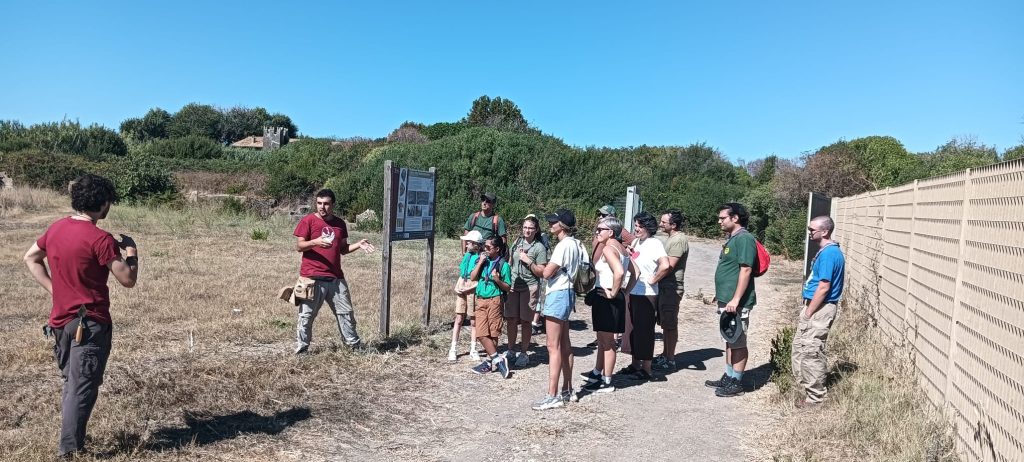 Pyrgi, il mare minaccia i templi. Auspicabile una collaborazione con i volontari per la loro protezione