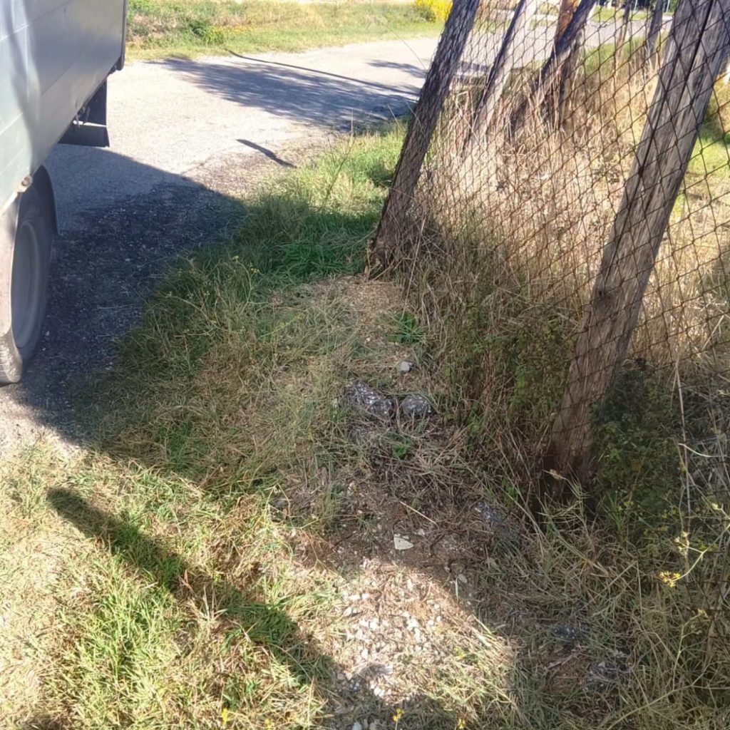 Cerveteri, sette residenti raccolgono 18 sacchi di rifiuti abbandonati