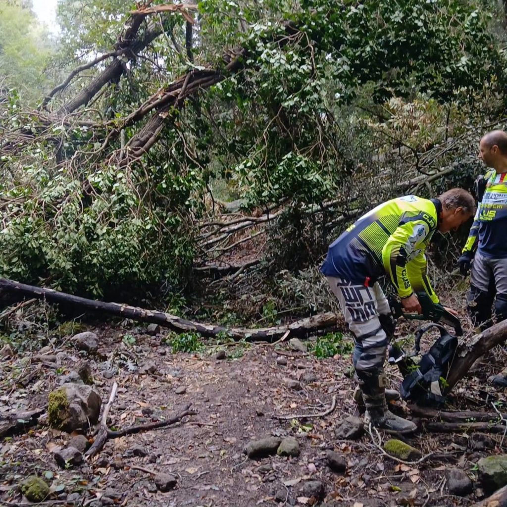 Cerveteri, riaperto l’Anello delle Cascatelle. I volontari liberano il sentiero dagli alberi caduti