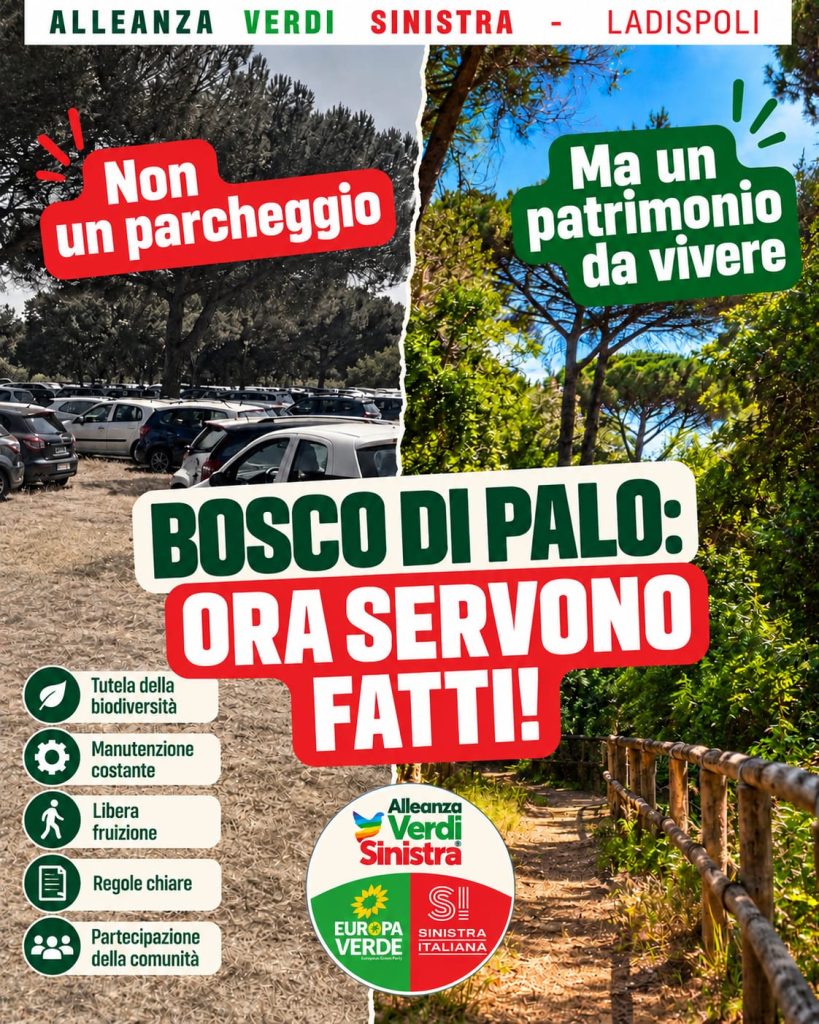 Ladispoli, AVS sul Bosco di Palo: “Un bosco non è un parcheggio”