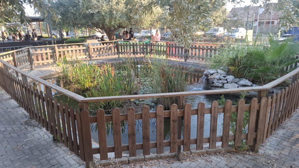 Cerveteri, il parco di Damiano Casali: “Un posto per stare bene, ma anche per stare male”