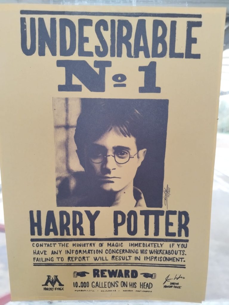 Magia all'Istituto Cena: il 30 ottobre arriva "Harry Potter al Cena"